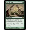 Life and Limb PLC SP