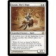 Kataki, War's Wage MMA NM