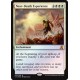 Near-Death Experience FOIL V16 NM