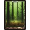 Forest UNH NM
