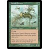 Xantid Swarm SCG NM