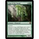 Liege of the Tangle SOM NM