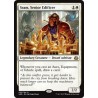 Sram, Senior Edificer AER NM