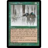 Constant Mists STH NM