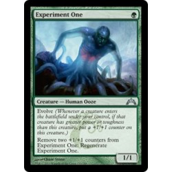 Experiment One GTC NM