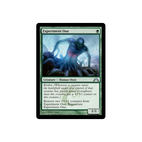 Experiment One GTC NM