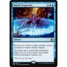 Baral's Expertise AER NM