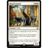 Regal Caracal AKH NM