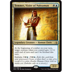 Temmet, Vizier of Naktamun AKH NM