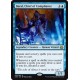 Baral, Chief of Compliance AER NM