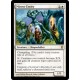 Mirror Entity C13 SP