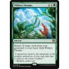 Wildest Dreams KLD NM