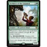 Architect of the Untamed KLD NM