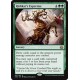 Rishkar's Expertise AER NM