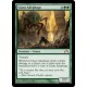 Giant Adephage GTC NM