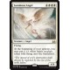 Luminous Angel DD3 NM
