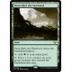 Oran-Rief, the Vastwood C15 NM