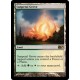 Sunpetal Grove M13 NM