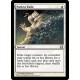 Path to Exile MMA NM