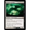 Divinity of Pride C13 NM