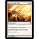 Honor of the Pure MD1 NM
