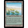 Flood Plain MIR SP