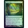 Vivid Grove FOIL MMA NM