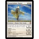 Transcendent Master ROE NM