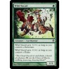 Wild Nacatl DDH NM