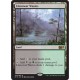 Llanowar Wastes M15 NM