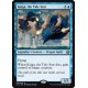 Keiga, the Tide Star IMA NM