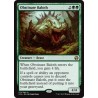 Obstinate Baloth IMA NM