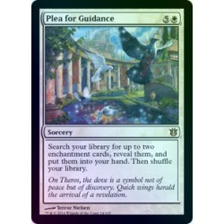 Plea for Guidance FOIL BNG NM