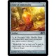 Elixir of Immortality M13 NM