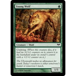 Young Wolf DKA NM