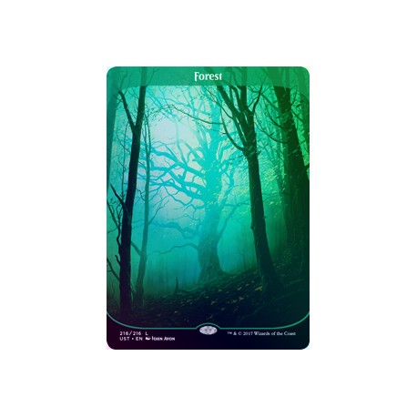 Forest FOIL UST NM