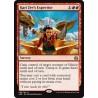 Kari Zev's Expertise AER NM