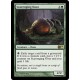Scavenging Ooze M14 SP