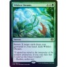 Wildest Dreams FOIL KLD NM