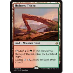 Sheltered Thicket AKH SP