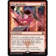 Pia's Revolution AER NM