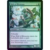 Wall of Blossoms FOIL V13 NM