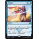 Disallow AER NM