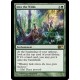 Into the Wilds M14 NM