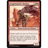 Dragonspeaker Shaman C17 NM