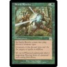 Steely Resolve ONS NM