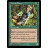 Quirion Ranger VIS NM