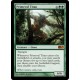 Primeval Titan M11 NM