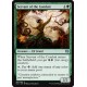 Servant of the Conduit KLD NM