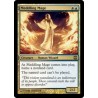 Meddling Mage ARB NM-